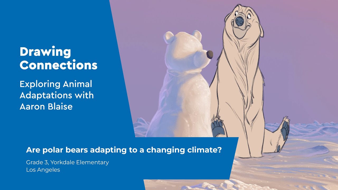 Drawing Connections — Exploring Animal Adaptations with Aaron Blaise | Tundra Connections 2025