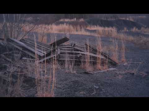 an observance of absence (trailer)