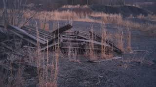 an observance of absence (trailer)