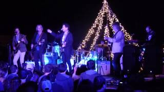 Steve Wynn - The Groom's Still Waiting At The Altar (2015 Todos Santos Music Festival)