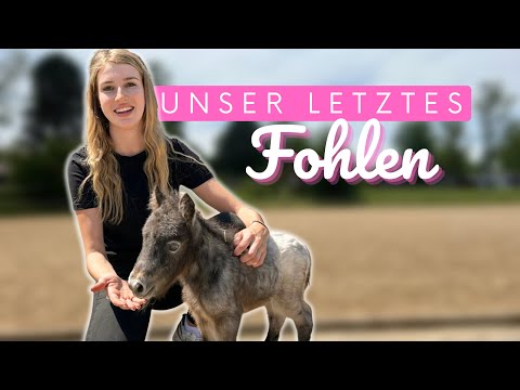 The last FOAL: Birth 😍💕