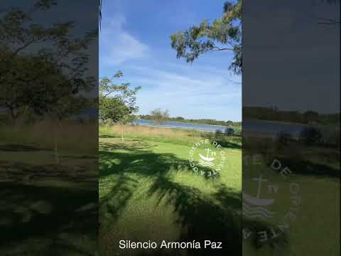 🌿 "Las Clavelinas, Laguna Soto – Santa Ana, Corrientes" 🌿