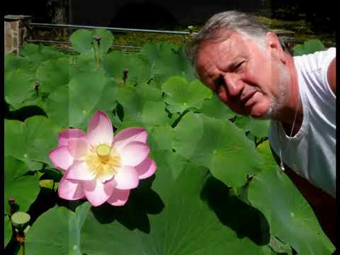 Merit Eu - Nelu Slev