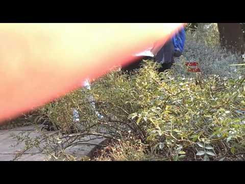 Frajer z przetłuszczonymi włosami wyłapał lepe