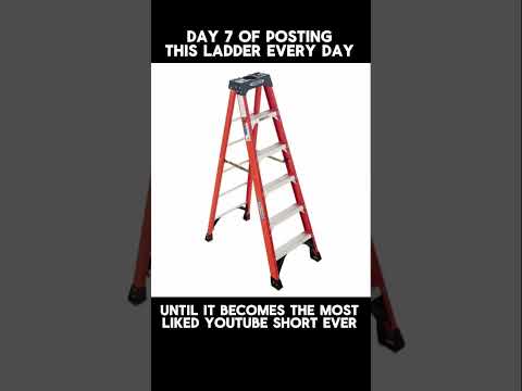Day 7 of Posting this Ladder Until it Becomes the Most Liked Short Ever #laddergang