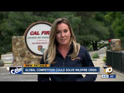 10News at 6pm Top Stories