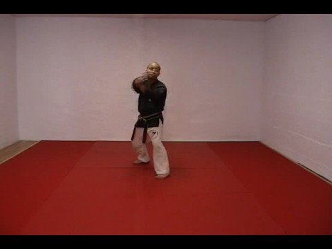 CASA DE KENPO - AMERICAN KENPO - SHORT FORM 1