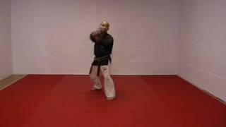 CASA DE KENPO - AMERICAN KENPO - SHORT FORM 1