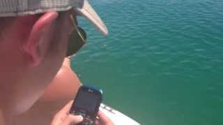Marine Catching A Goliath Grouper Sanibel Island Florida