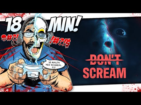 🎮 BIRGER ZOCKT Don´t Scream - 18 Minuten nicht schreien? Pffft... Easy!