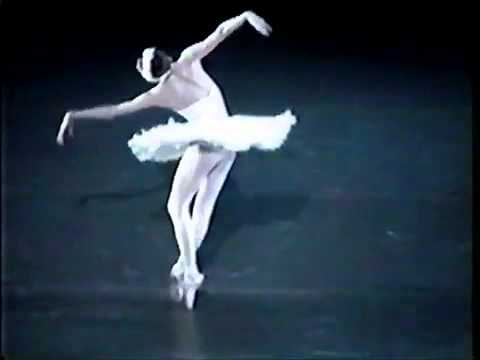 Muerte de un cisne  Svetlana Zakharova