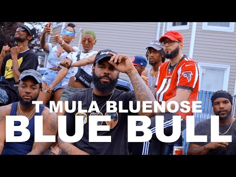 T-Mula Bluenose - Blue Bull (Shot by @TheFaceyKid)