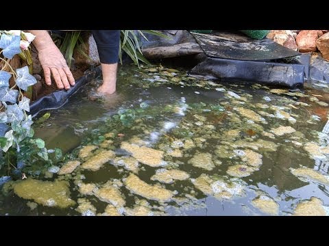 Ponds Gone Wrong | Backyard Ponds - Episode 2 - (Part 1)