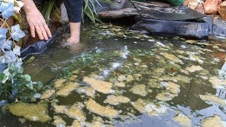 Ponds Gone Wrong | Backyard Ponds - Episode 2 - (Part 1)