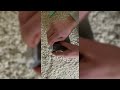 Fast Unboxing DJI Mic Mini What Is In The Box