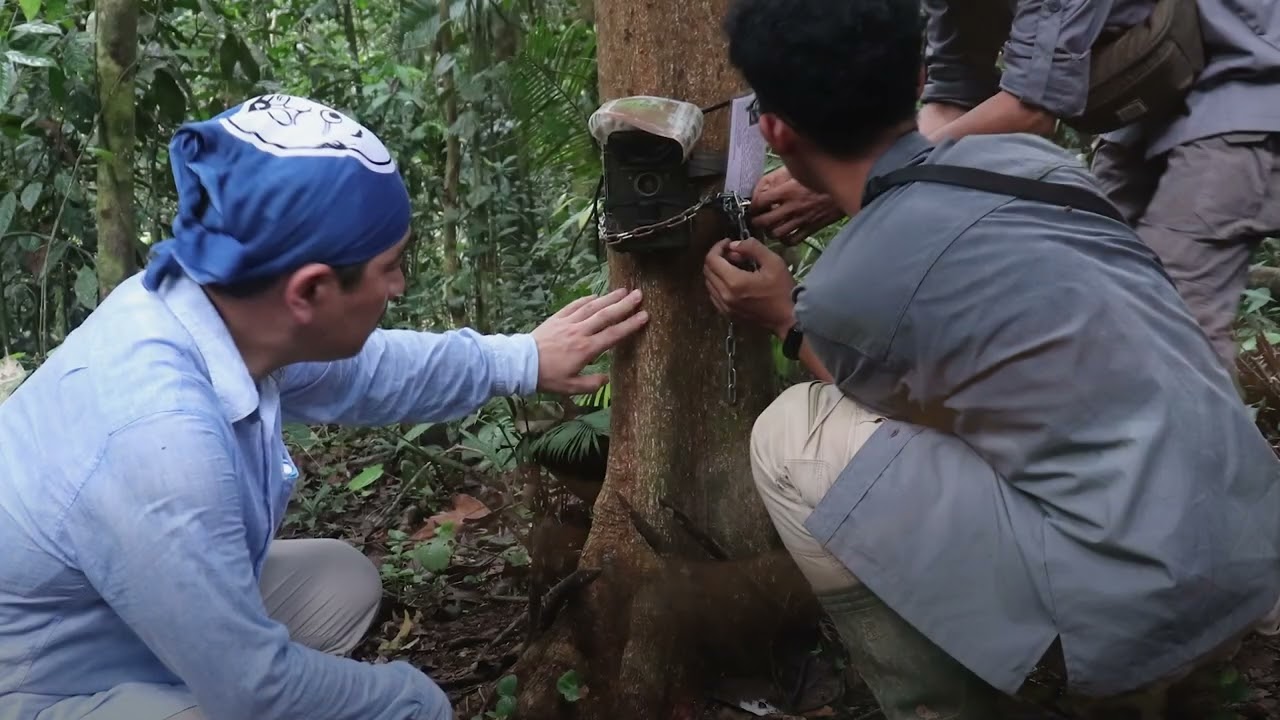 Working in Partnership for the Future of the Forest - 森林の未来を守るためのパートナーシップ