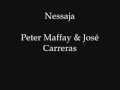 Nessaja Peter Maffay José Carreras WMV V9 