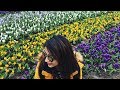 Actress Trisha Shares Her Tour Experiences