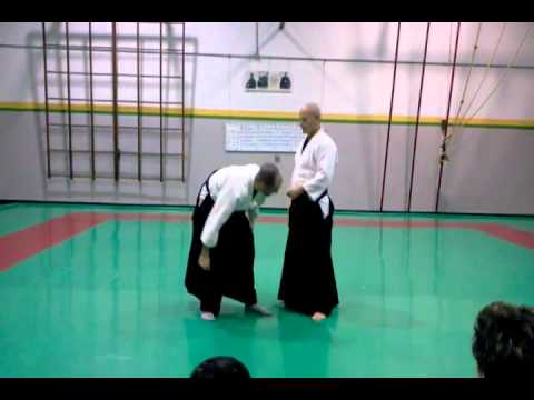 aikido oreno