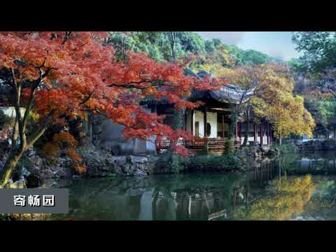 《Resumo do mercado de frete grátis》