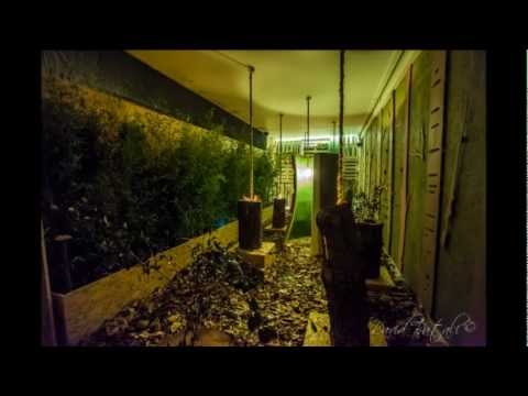 NaturalMente: un percorso didattico e sensoriale presso Arredamenti Caneschi srl.