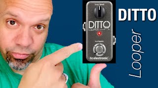 African /Caribbean "DITTO LOOPER" Bass loop (Jose Castillo)