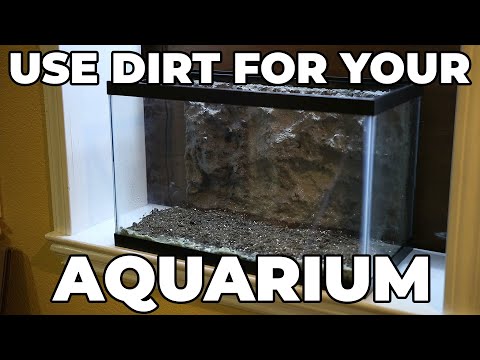 How To Set Up A Dirted Tank For Optimal Plant Growth!