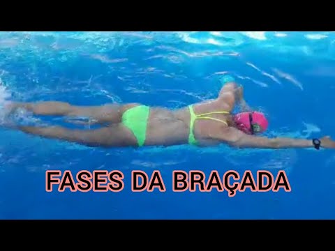 FASES DA BRAÇADA