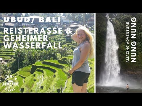 Reisterasse "Tegalalang"  & "Geheimtipp" Wasserfall - BALI  #3