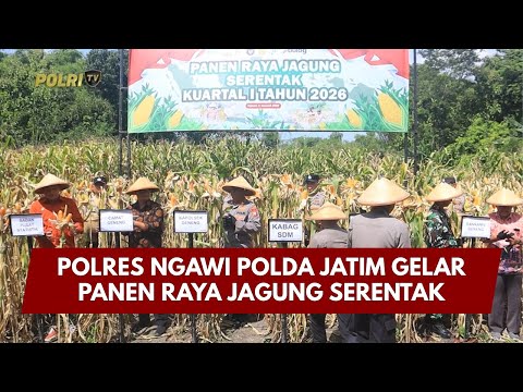 PRESISI UPDATE : POLRES NGAWI POLDA JATIM GELAR PANEN RAYA JAGUNG SERENTAK 10/01/2026 (19.00)