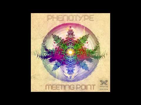 Phenotype - Movie Star Trip (Original Mix) HD