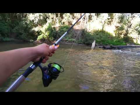 De pesca 🎣 en Lomas del río Lía, Santa Juana Biobío. HERMOSO😍🇨🇱