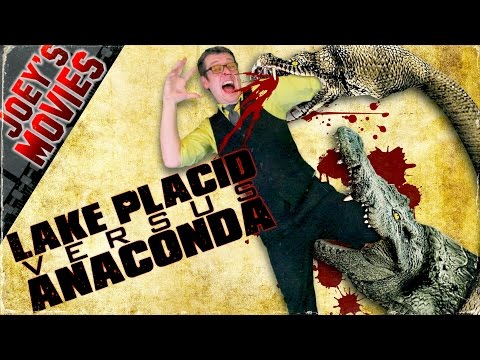 THE AMAZING MAURICE TIKTOK