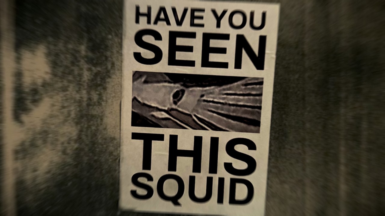 HAVE YOU SEEN THIS SQUID?