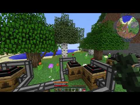 Forestry Tree Breeding