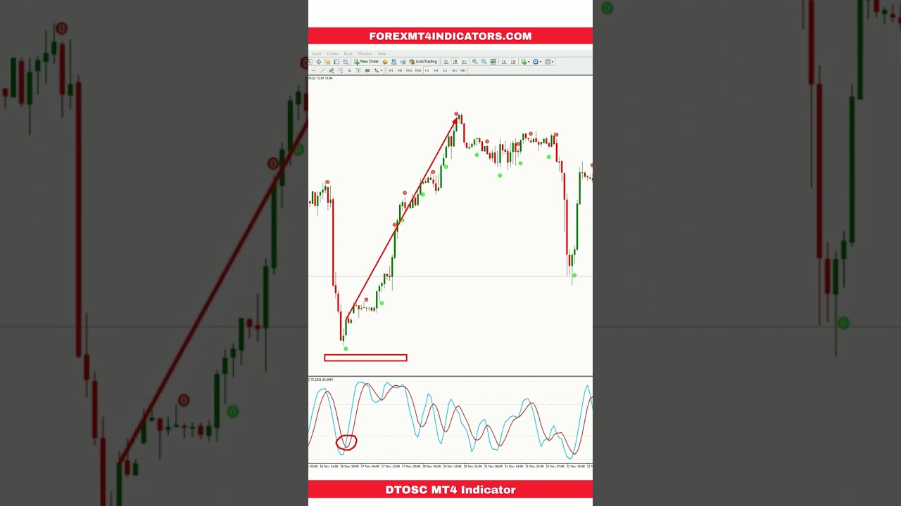 DTOSC MT4 Indicator