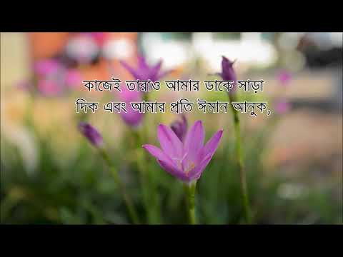 সুদূর সার্বিয়ার বোন Ajša Mekić এর কণ্ঠে আল ক্বুরআন   মুসলিম অনুবাদক1080P HD
