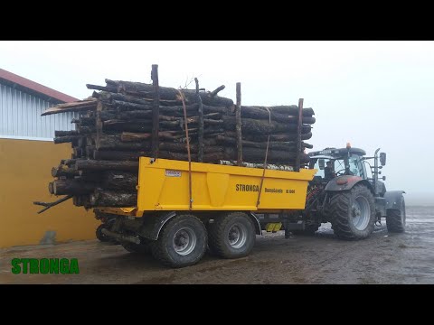 #StrongaSeasonReview – Your Best Stronga Moments – Winter 2018