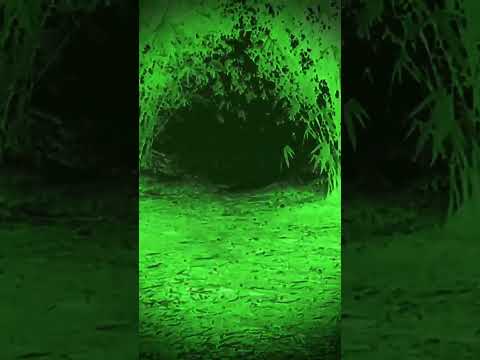 #boot hai 👽☠️🥰👽☠️👽😈👹☠️😈😎🥰👽☠️👻