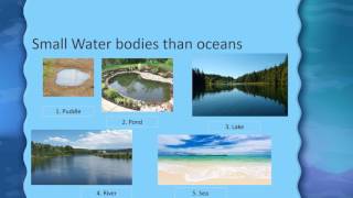 Water bodies and Oceans for Kids