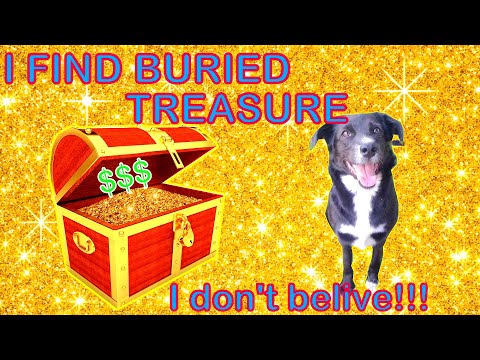 How my dog found the buried treasure