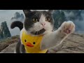 Kung Fu Cat