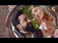 Shahmeer Aur Shibra Ki Muhabbat Kamiyaab Durefishansaleem Bilalabbaskhan Ishq Murshid