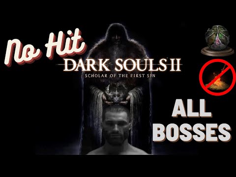 Dark Souls 2 SotFS No-Hit No-Bonfire Run (All Bosses, Company of Champions) [World's First]