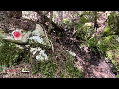 Peștera Dalma Cu Brazi, Jud Hunedoara, România