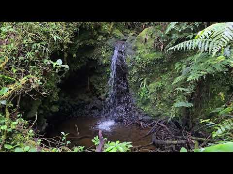 Cerro Dantas|| San Rafael de Heredia|| UHD 4K 60PS