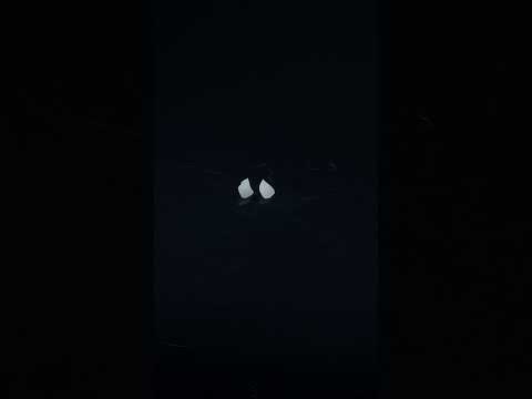YouTube 썸네일