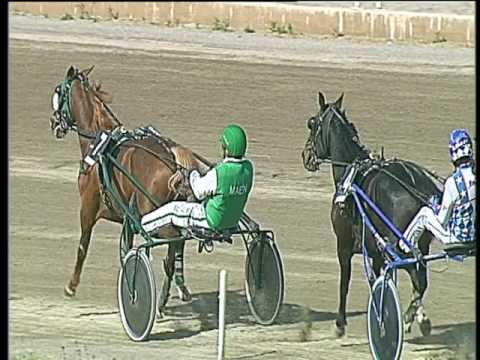 Trotto 21/04/2017 - 3ª corsa