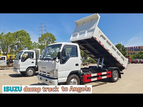 How does 2 units ISUZU dump trucks loaded into a 40ft container?