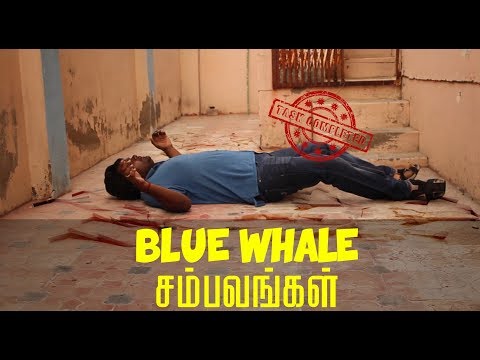 download lagu mp3 mp4 Mg Studio, download lagu Mg Studio gratis, unduh video klip Mg Studio